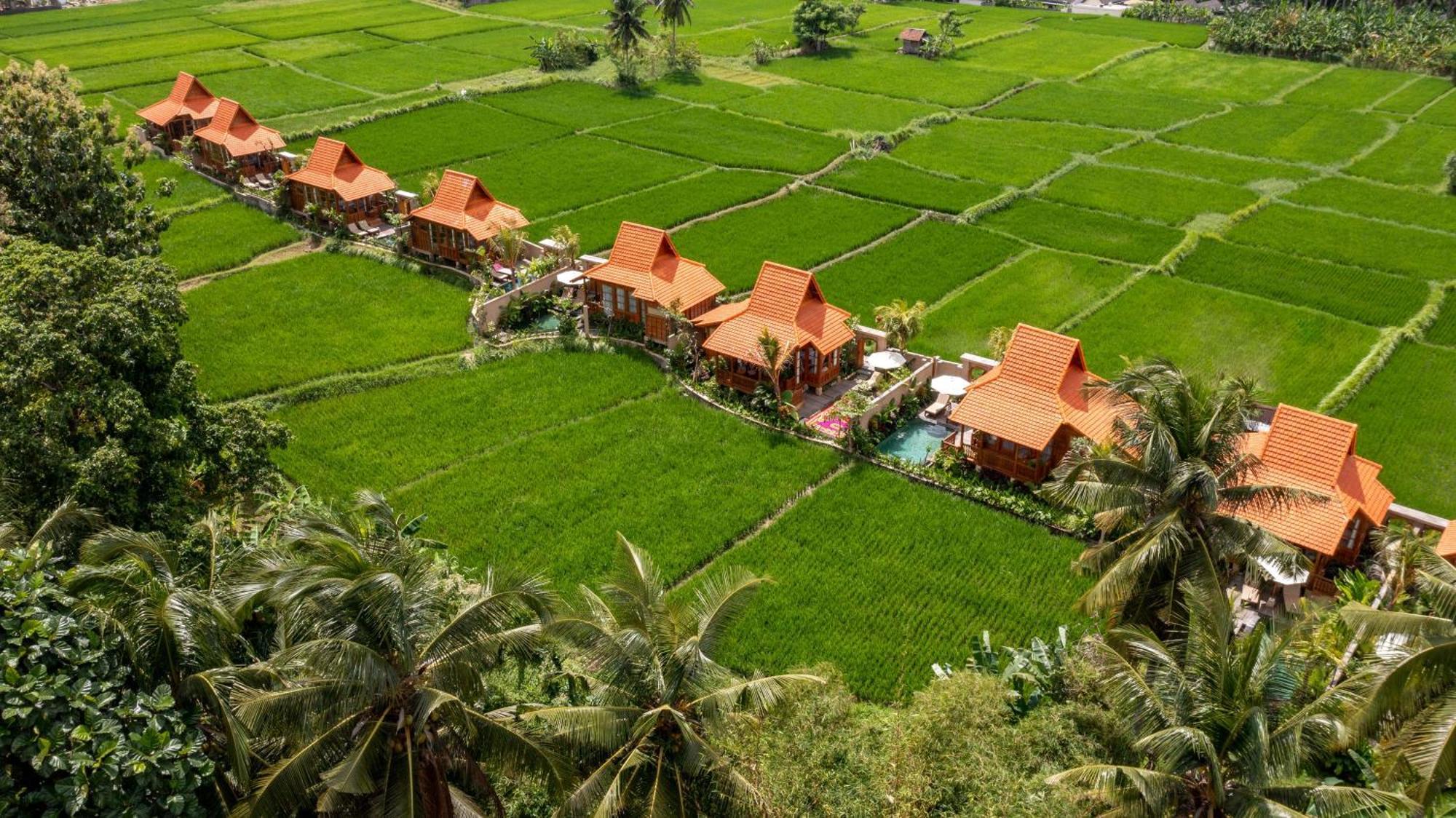 The Kalyana Ubud Resort Eksteriør billede